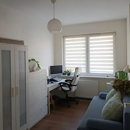 Brown Sun * Năvodari