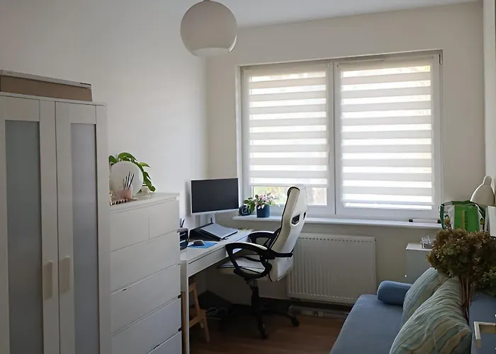 Brown Sun * Navodari